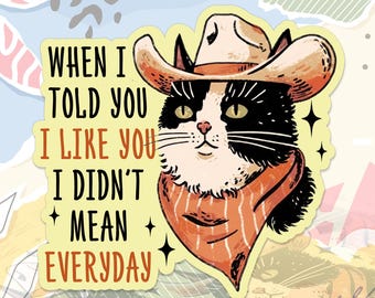 When I Told You I Liked You I Didn't Mean Every Day Sticker Funny Cowboy Sarcastic Relationship Decal Retro For Water Bottle, Laptop