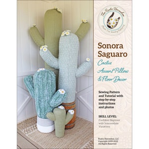 Sonora Saguaro Cactus Accent Pillow & Floor Decor Pattern, Rustic Horseshoe, StartingStitches, Step-by-Step Instructions/Photos, Southwest