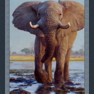 Kiongozi Elephant Fabric Panel, Marshall Dry Goods, StartingStitches, 100% Cotton, Quilt Panel, Wallhanging, Wild Animals, African Wildlife