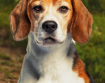 Beagle Fabric Panel, David Textiles, StartingStitches, 100% Cotton, Quilt Panel, Wallhanging, Animals, Dogs, Pets, Man&#39;s Best Friend