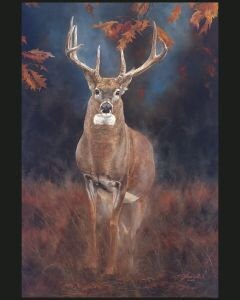 Close Encounter Fabric Panel, Marshall Dry Goods, Jack Paluh, StartingStitches, 100% Cotton, Quilt Panel, Wallhanging, Wildlife, Buck, Deer