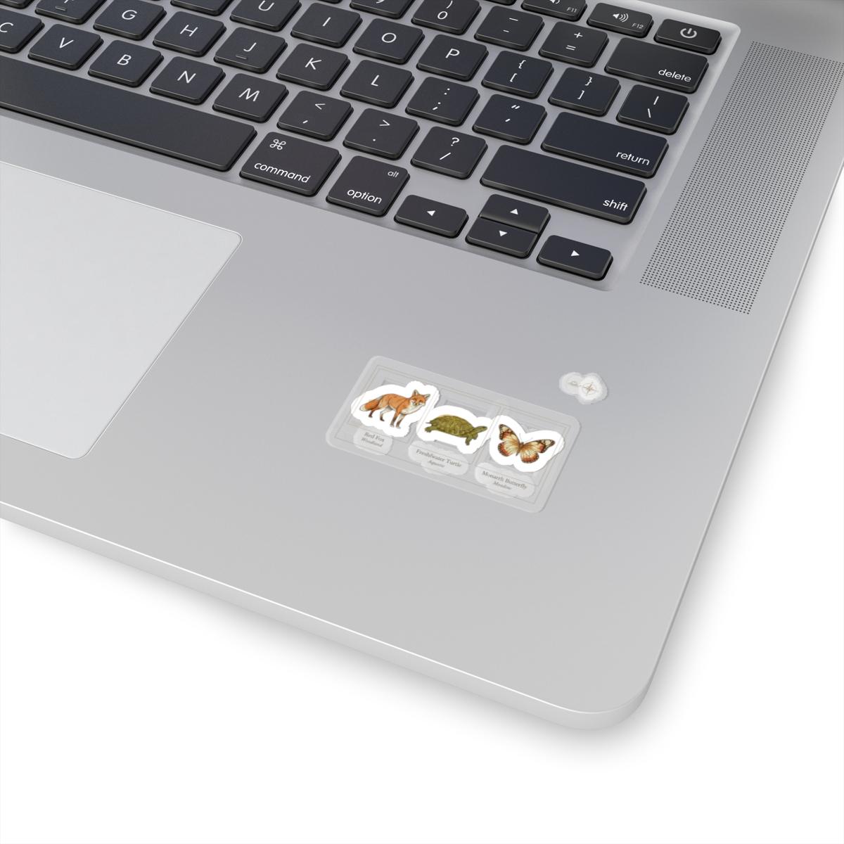 Taxonomy Stickers Animal Taxonomy Plate Stickers | Vintage Zoology, Labeled Fauna - Etsy
