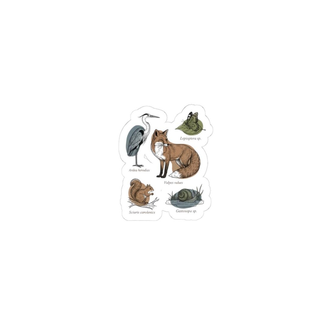 Taxonomy Stickers Vintage Animal Taxonomy Stickers | Labeled Zoology Plate, Anatomy ...