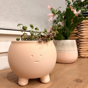 Può includere: Un vaso rotondo color pesca con tre piccole gambe e un design a faccina sorridente. Il vaso contiene una piccola pianta succulenta con foglie verdi e viola. Un altro vaso con un design rosa e bianco è sullo sfondo.