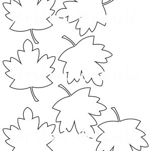 Maple Leaf .SVG und PDF Datei Digital Download
