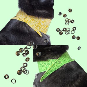 May include: A dog wearing a yellow floral and a green leaf-patterned bandana. The bandanas are secured with silver snaps. Loose silver snaps and rings are scattered around the bandanas on a light green background.