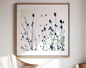 Black White Botanical Wall Art Print, Minimalist Wildflower Photo, Modern Giclee