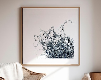 Impressão artística botânica em preto e branco para parede, foto minimalista da natureza, impressão giclée moderna.