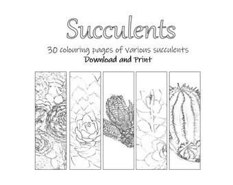 Adult Printable Colouring pages -  Succulent plants - Echeveria, Aeonium, Sempervivum, Haworthia, Lithops