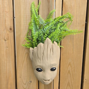 May include: A light brown, textured wall-mounted planter shaped like a tree-like character head with large, dark, oval eyes and a small mouth. The planter is filled with vibrant green, feathery fern-like foliage that extends upwards and outwards.