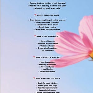 Puede incluir: Infografía vertical "The New Year Life Reset" con una flor rosa de fondo. Detalla un plan de 30 días para la estructura, incluyendo pasos para despejar el ruido, la administración de la vida, los hábitos y la preparación futura.