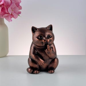 Kichernde Katze mit Mittelfinger image 7