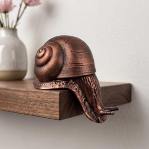 Könnte beinhalten: Eine bronzefarbene Schnecken-Skulptur mit detailliertem Gehäuse und strukturierter Oberfläche. Die Schnecke befindet sich auf einem Holzregal und zeigt ihr dekoratives Design. Die Skulptur verleiht jedem Raum einen Hauch von naturnaher Kunst.