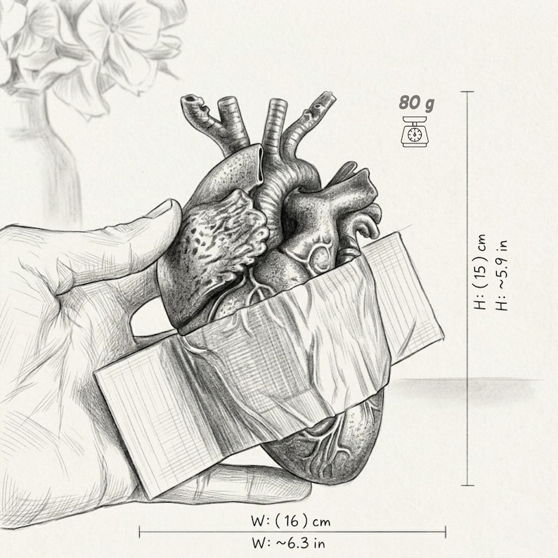 Puede incluir: Dibujo a l&aacute;piz detallado de un coraz&oacute;n humano, sostenido por una mano. El coraz&oacute;n est&aacute; envuelto en papel y mide aproximadamente 16 cm de ancho y 15 cm de alto. El peso es de 80 gramos.