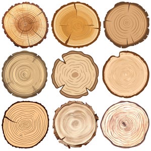 May include: Nine illustrations of wood slices, each showcasing the intricate patterns of tree rings. The slices vary in color from light to dark brown, with visible cracks and bark edges. A variety of wood textures are displayed.