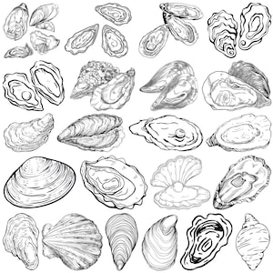 Può includere: Illustrazioni in bianco e nero di varie conchiglie di ostriche e vongole. I disegni mostrano diverse forme, dimensioni e trame, con alcune conchiglie aperte e altre chiuse, e alcune con una perla.