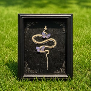 May include: A black rectangular frame containing a coiled snake skeleton and two light purple butterflies. The background inside the frame is black with an embossed floral pattern, and the frame features decorative metal corner accents.