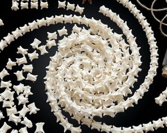Cuentas de vértebras de serpiente auténticas / Huesos de columna vertebral sueltos naturales para la fabricación de joyas / Muestras de osteología / Artículos de decoración y accesorios para taxidermia