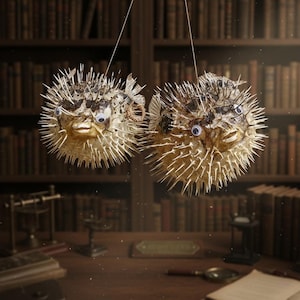 May include: Two dried pufferfish, suspended by strings, with spiky exteriors and googly eyes. The fish are tan and brown, set against a blurred background of bookshelves and a wooden desk, creating a whimsical, vintage aesthetic.
