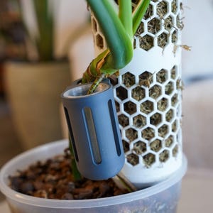 May include: A grey cylindrical plant propagation pod with vertical cutouts attached to a green plant stem. The pod is positioned next to a white, 3D-printed hexagonal moss pole, which is inserted into a clear plastic pot filled with potting medium.