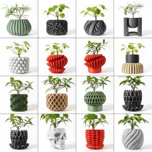 Pu&ograve; includere: Una griglia di sedici piccole piante in vaso. Ogni pianta ha foglie verdi ed &egrave; in un vaso dal design unico. I vasi sono di vari colori, tra cui verde, nero, rosso e bianco. I vasi hanno diverse trame e forme.