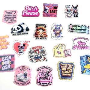 May include: A collection of colorful stickers with various humorous phrases and illustrations. Designs include a panda, a grumpy cat, a skeleton, and text like "Bitch Please" and "Probably Overstimulated."