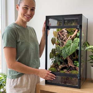 Könnte beinhalten: Ein vertikales Glasterrarium mit schwarzem Rahmen, das ein üppiges Inneres mit grünen tropischen Pflanzen, Moos und strukturierter Baumrinde enthält. Das Gehäuse verfügt über eine Fronttür und ein oberes Gitterpaneel zur Belüftung.