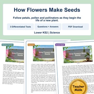 May include: Educational reading comprehension resource titled How Flowers Make Seeds for Lower KS2 science. Includes three differentiated texts, questions, answers, and a PDF download option, featuring illustrations of pink flowers and seeds.