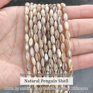 Natural White Shell Round Flat Shape Beads