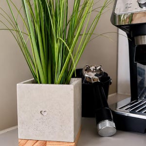 Könnte beinhalten: Ein quadratischer, hellgrauer Beton-Pflanztopf mit herzförmigem Ausschnitt, der hohes grünes Gras enthält. Der Pflanztopf steht auf einem Holzsockel. Eine Kaffeemaschine und Zubehör befinden sich im Hintergrund.