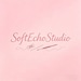 SoftEchoStudioo store logo