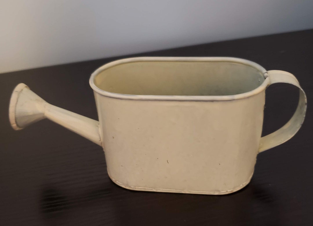 Miniature Watering Can Party Favor Etsy