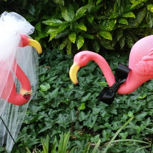 Bridal Couple Costume for Flamingos