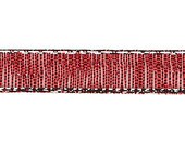 Il_170x135