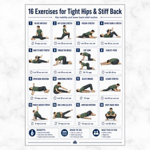 May include: A white instructional poster titled 16 Exercises for Tight Hips & Stiff Back, featuring sixteen numbered illustrations of a person in a green shirt and dark pants performing various stretches with text instructions for each movement.