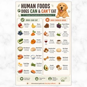 May include: A simple guide titled "Human Foods Dogs Can & Can't Eat" with illustrations of foods. The guide lists foods dogs can eat, like apples and blueberries, and foods to avoid, such as chocolate and grapes. A golden retriever is at the top.