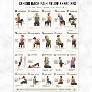 May include: A poster with illustrations of 20 exercises for senior back pain relief. Each exercise is demonstrated with a woman, with instructions for repetitions and hold times. The exercises include stretches and movements.