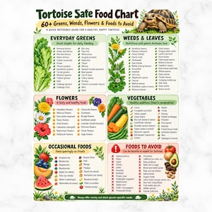 Puede incluir: Un póster Tortoise Safe Food Chart con una ilustración de una tortuga sonriente y listas categorizadas de verduras, hierbas, flores, vegetales y alimentos ocasionales, además de una sección de alimentos a evitar, todo con gráficos botánicos coloridos.