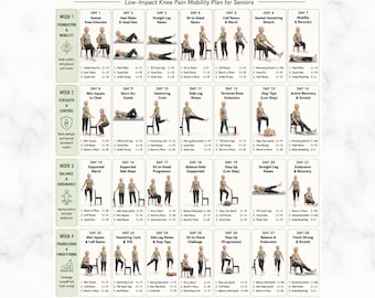28 Day Knee Strength Exercises Printable PDF, Knee Pain Mobility Chart, Low Impact Home Workout for Seniors