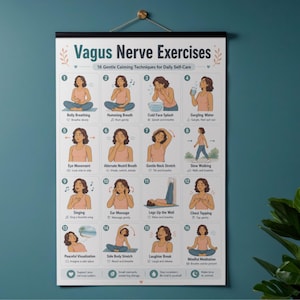 May include: A poster titled "Vagus Nerve Exercises" displays 16 gentle calming techniques for daily self-care. The poster features illustrations of exercises like belly breathing, humming breath, and mindful meditation. The poster is hanging on a wall.