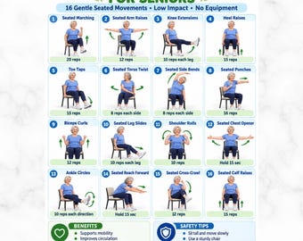 Full Body Chair Exercises For Seniors, Seated Exercise Chart, Seated Workout, Low Impact Gentle, Sitting No Equipment Elderly Home Fitness