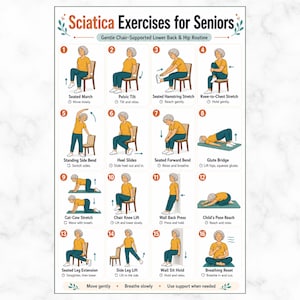 May include: A poster titled "Sciatica Exercises for Seniors" with 16 illustrated exercises. The exercises include stretches and movements, such as seated march, pelvic tilt, and knee-to-chest stretch. The poster is designed to provide a gentle chair-supported lower back and hip routine.