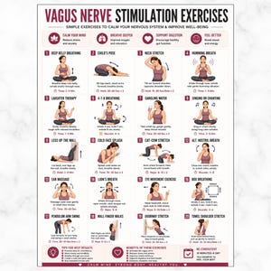 Può includere: Un poster con istruzioni per esercizi di stimolazione del nervo vago. Gli esercizi includono tecniche di respirazione, stretching e movimenti. Il poster è progettato per promuovere la calma e migliorare il benessere.