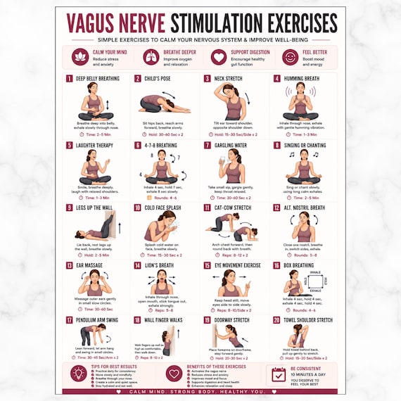 Vagus Nerve Stimulation Exercises, Anxiety Stress Relief, Somatic Exercises Nervous System Reset Regulation Breathing & Relaxation Routine