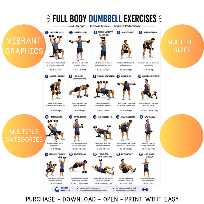 May include: A full-body dumbbell exercises chart with vibrant graphics. The chart includes exercises like shoulder press, lateral raises, and goblet squats. It also features multiple categories and sizes, with instructions for each exercise. The text at the bottom says "Purchase - Download - Open - Print With Easy".