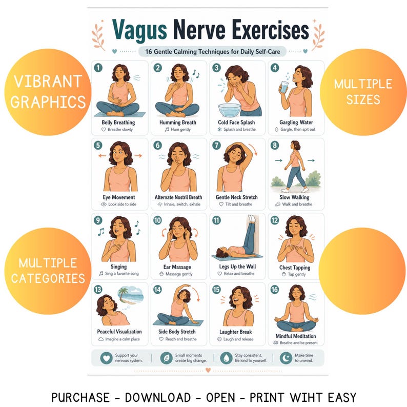 May include: A poster with the title "Vagus Nerve Exercises" and 16 calming techniques. The poster includes illustrations of exercises like belly breathing, humming breath, and mindful meditation. Text on the poster includes "Purchase - Download - Open - Print With Easy".