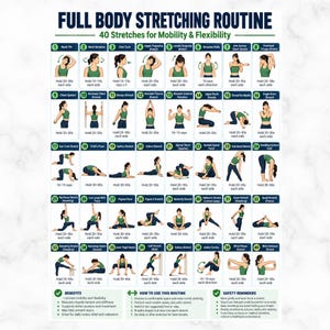 May include: A full body stretching routine poster titled 40 Stretches for Mobility & Flexibility. It features forty numbered illustrations of a person in green athletic wear performing various stretches, with text instructions for each movement.