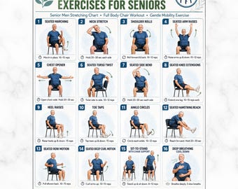 Seated Chair Exercises for Seniors, Senior Men Stretching Chart, Full Body Chair Workout, Gentle Mobility Exercise Printable PDF