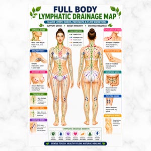 May include: A full body lymphatic drainage map poster featuring front and back anatomical views with colored nodes and pathways. Text includes FULL BODY LYMPHATIC DRAINAGE MAP, flow direction keys, and descriptions for cervical, axillary, and other nodes.