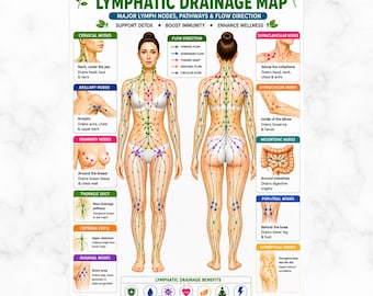 Full Body Lymphatic Drainage Map | Major Lymph Nodes, Pathways and Flow Direction | Printable Wellness Anatomy Poster PDF for Spa and Clinic